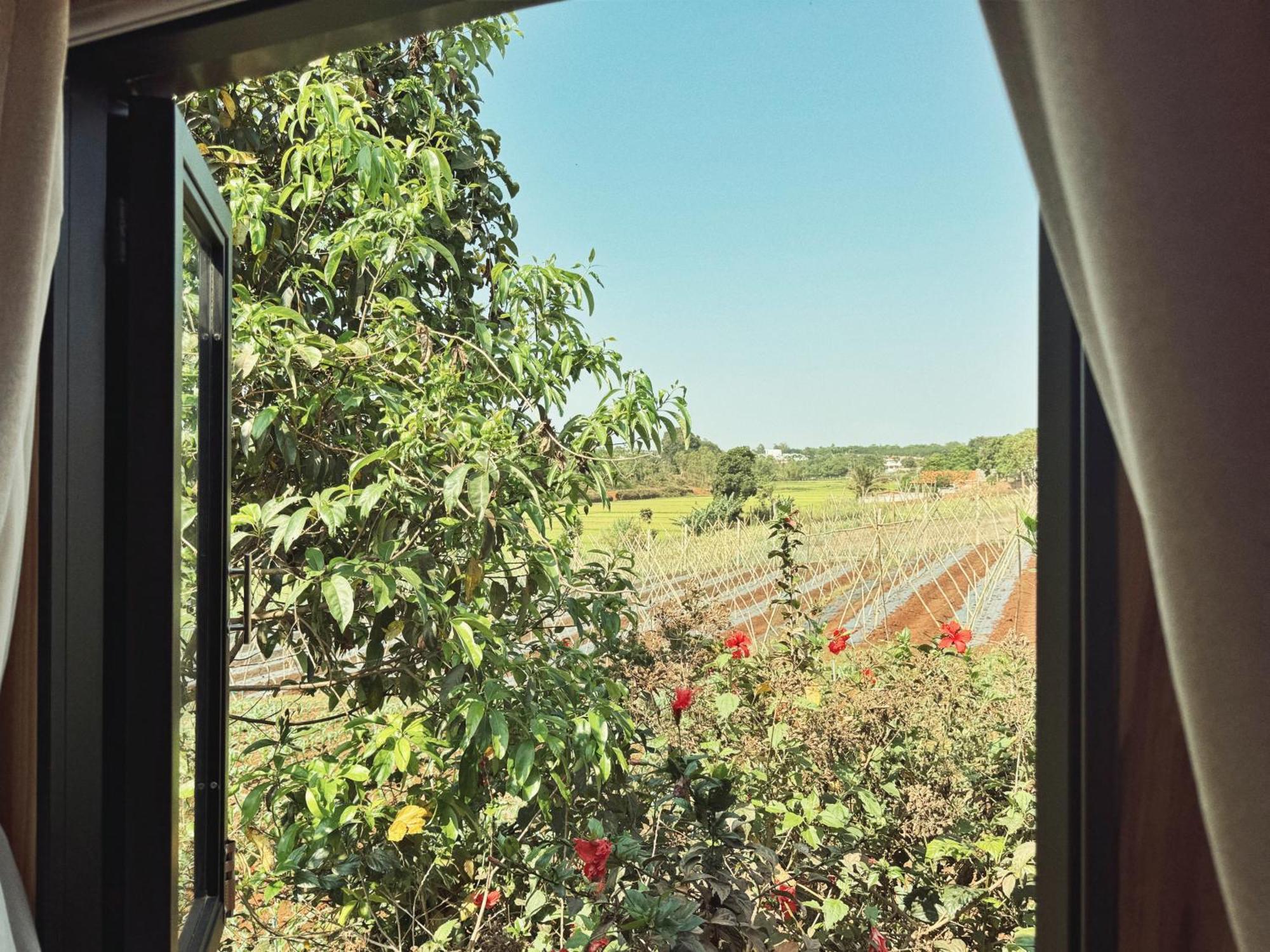 Xom Organic Farm Stay Pleiku Dış mekan fotoğraf